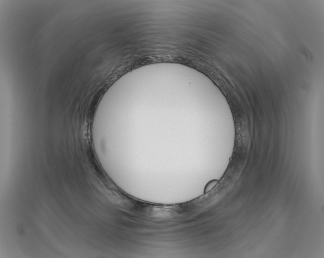 X0000113160134200909041001