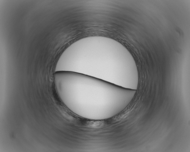 X0000113160135200909041001