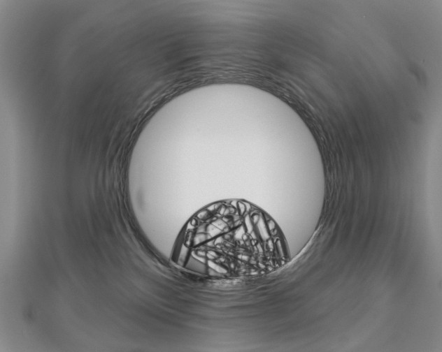 X0000113160136200909041001