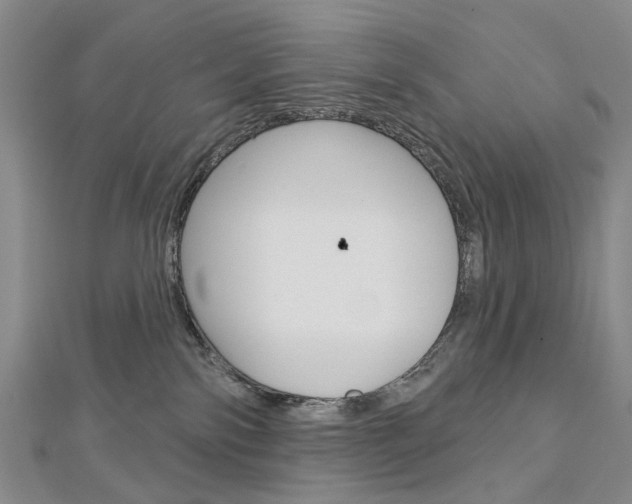 X0000113160138200909041001