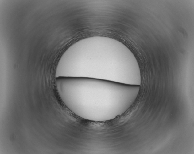 X0000113160139200909041001