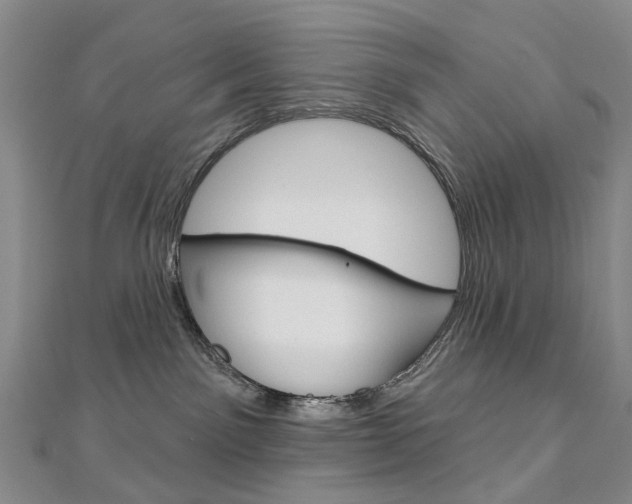 X0000113160141200909041001