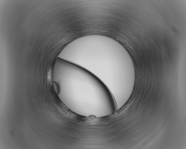 X0000113160143200909041001