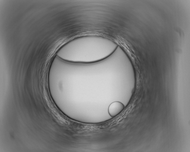 X0000113160145200909041000