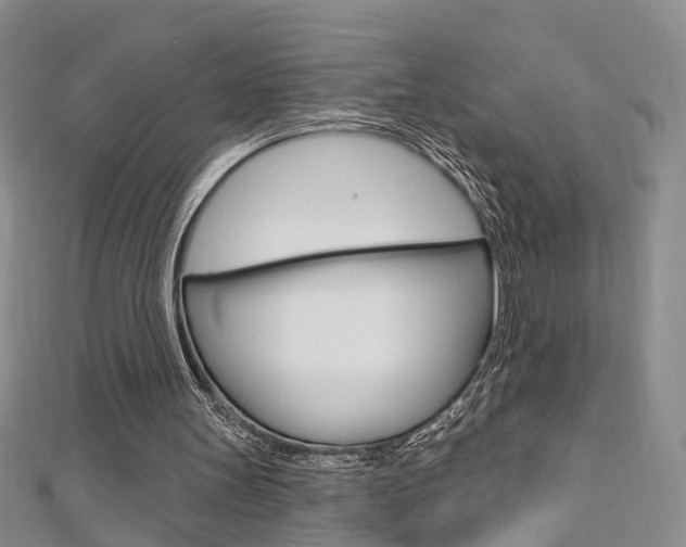 X0000113160147200909041000