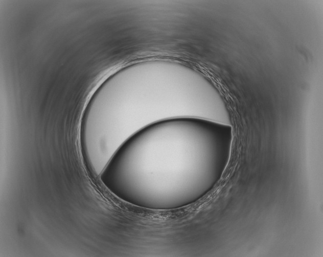 X0000113160148200909041000