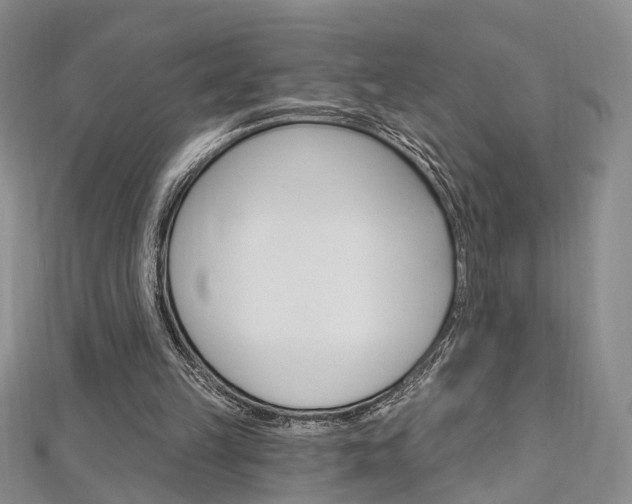 X0000113160149200909041000