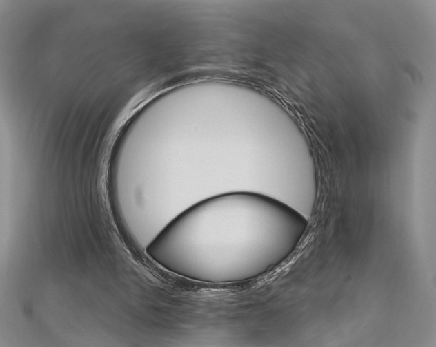 X0000113160150200909041000