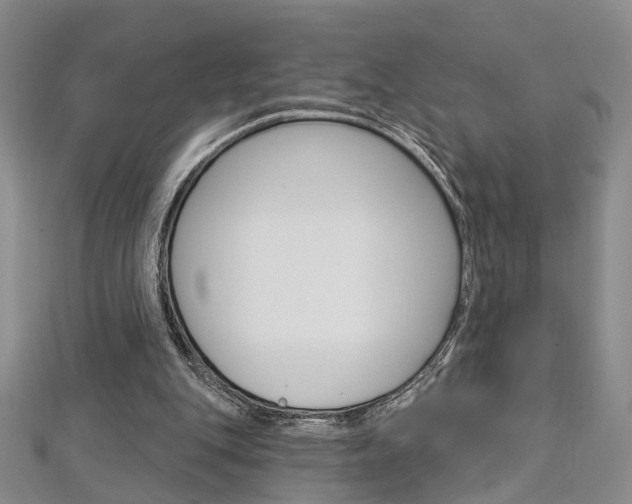 X0000113160151200909041000