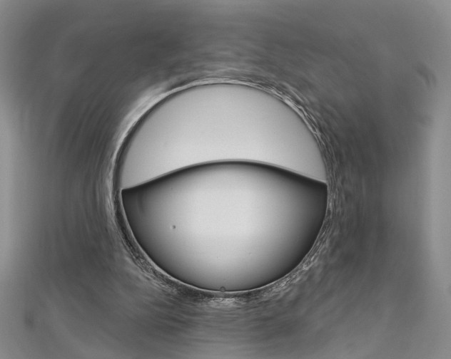 X0000113160152200909041000