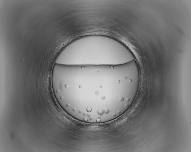 X0000113160153200909041000