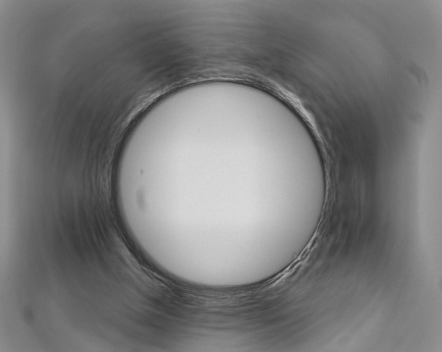 X0000113160154200909041000