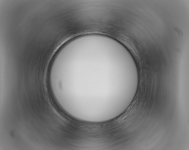 X0000113160156200909041000