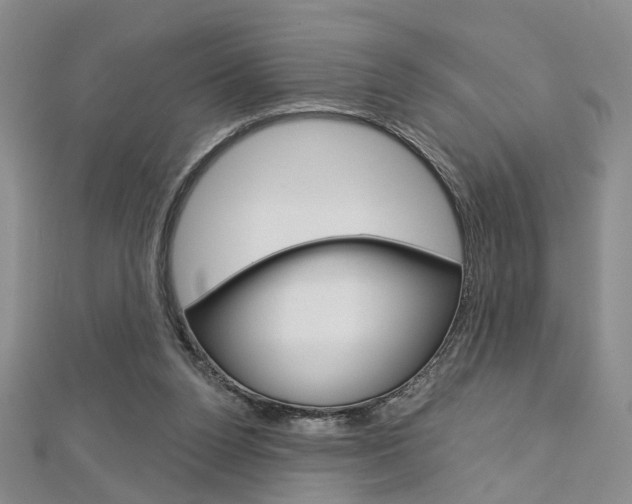 X0000113160160200909041000