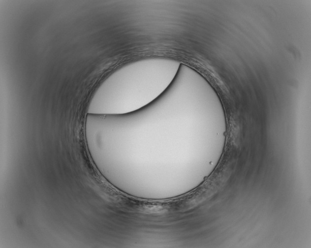 X0000113160161200909041000