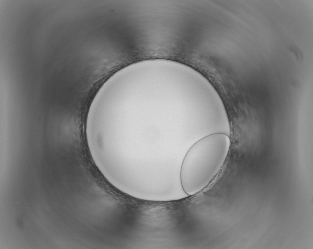 X0000113160162200909041000