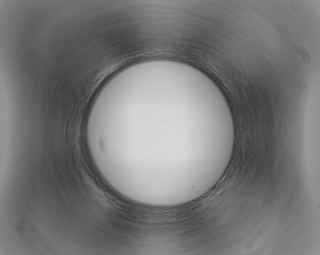X0000113160164200909041000