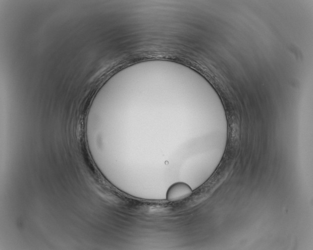 X0000113160165200909041000