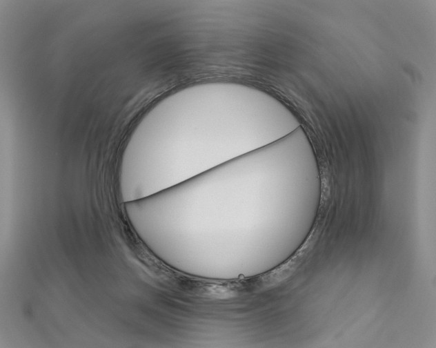 X0000113160166200909041000