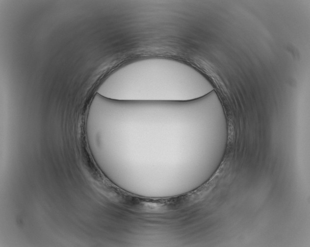 X0000113160167200909041000