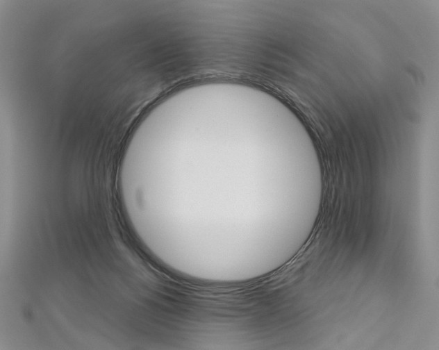 X0000113160168200909041000