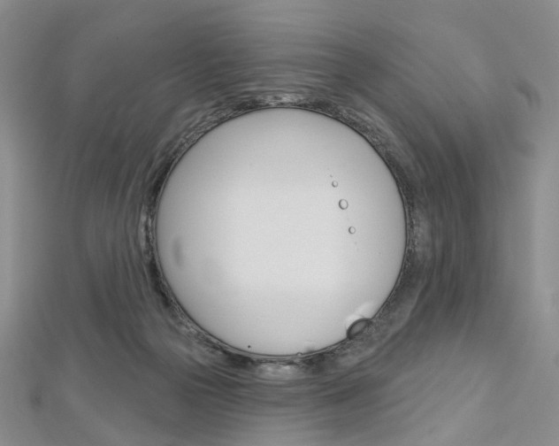 X0000113160169200909041000