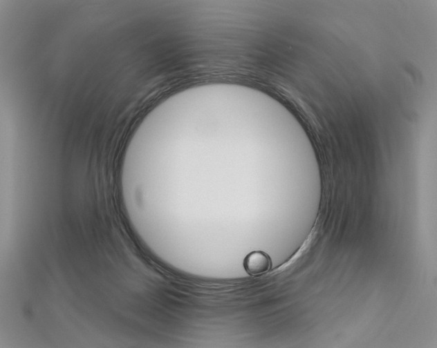X0000113160170200909041000