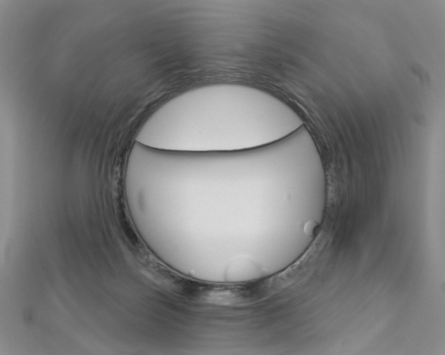 X0000113160171200909041000