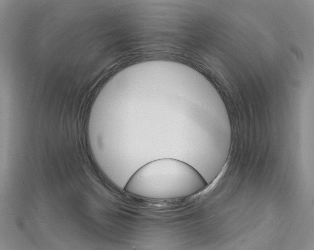 X0000113160174200909041000