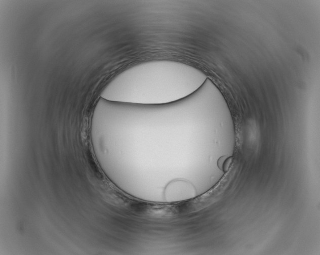 X0000113160175200909041000