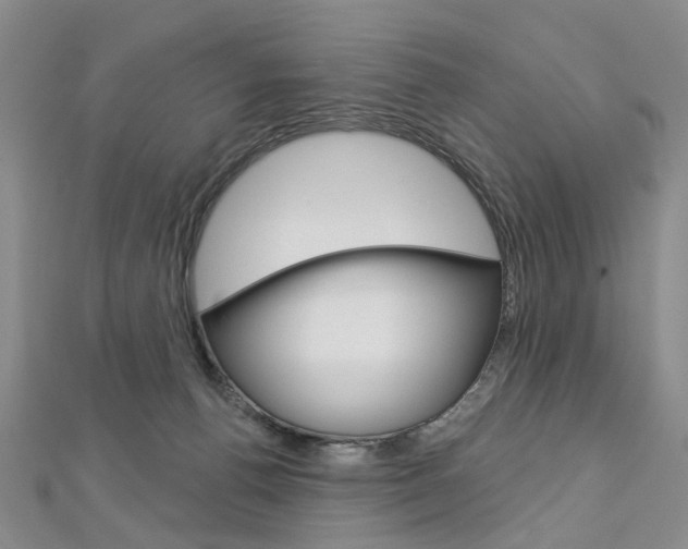 X0000113160176200909041000