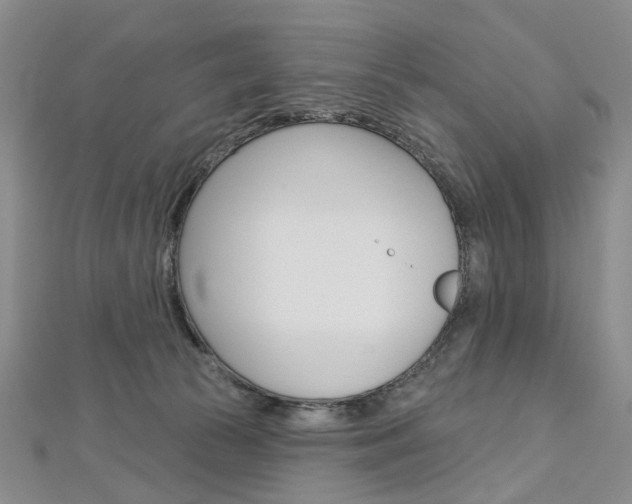 X0000113160177200909041000