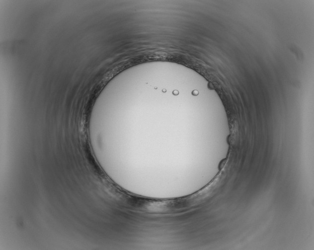 X0000113160178200909041000