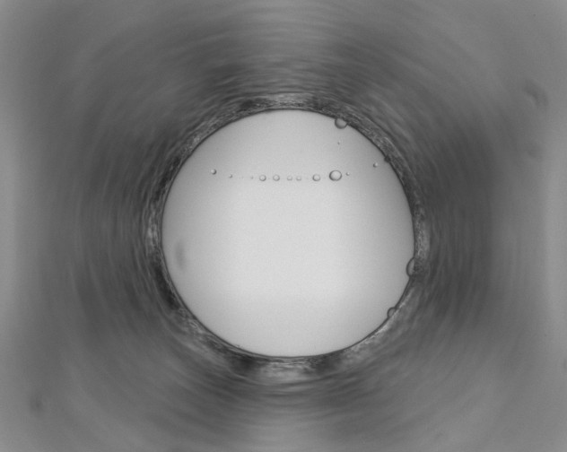 X0000113160179200909041000