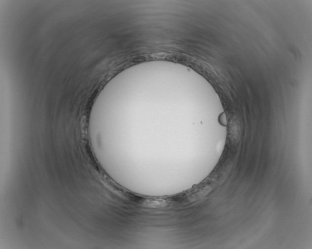 X0000113160181200909041000