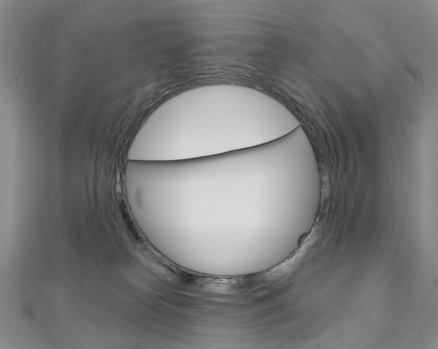 X0000113160182200909041000