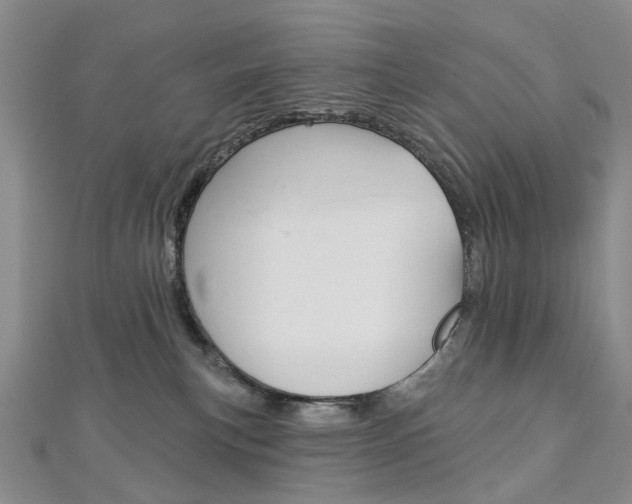 X0000113160183200909041000
