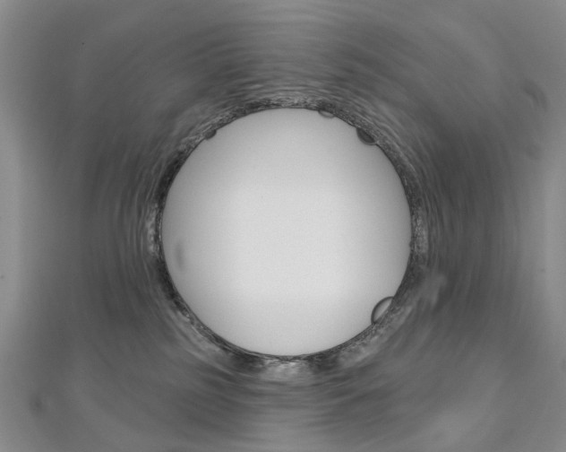 X0000113160185200909041001