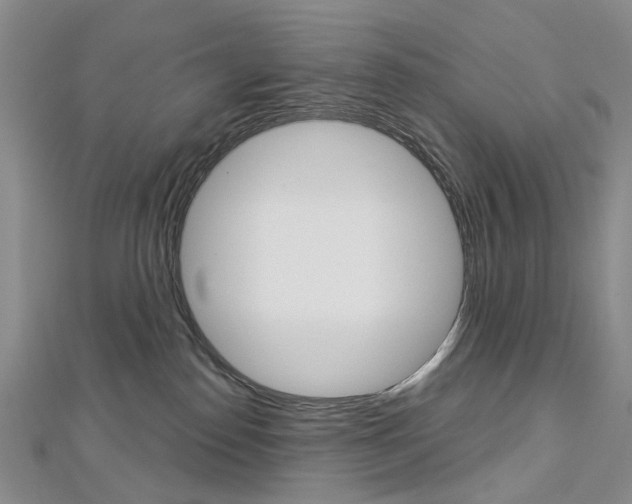 X0000113160186200909041001