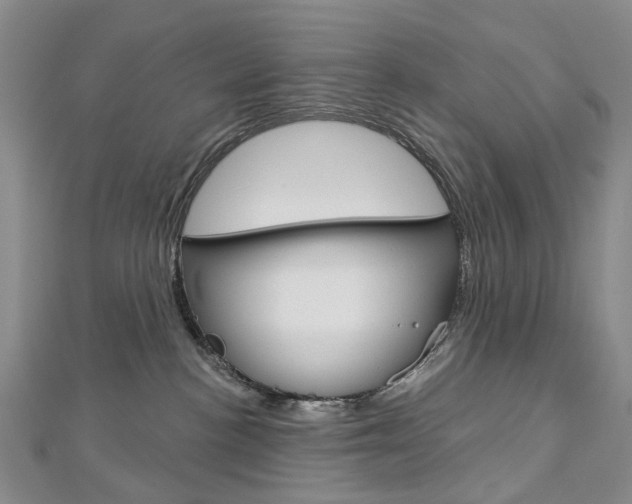 X0000113160188200909041001