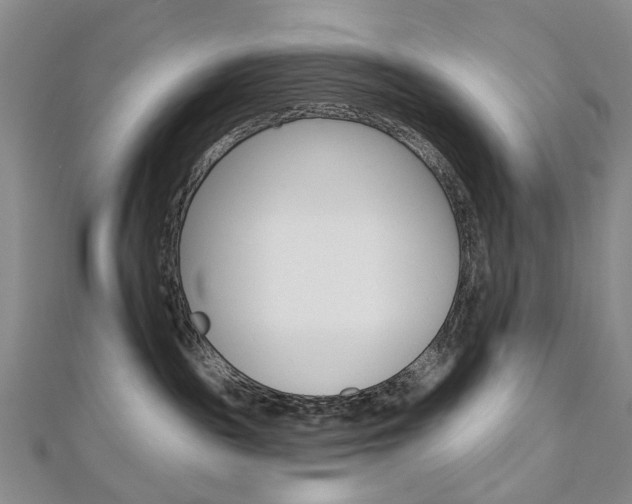 X0000113160189200909041001