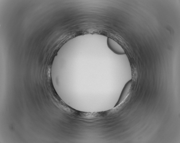 X0000113160191200909041001