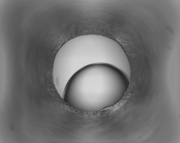 X0000113160192200909041001