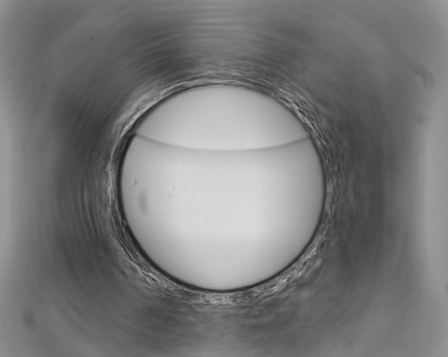 X0000113160194200909041000