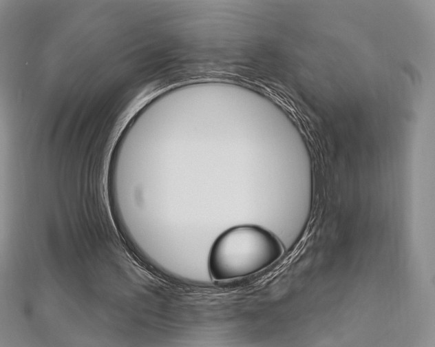 X0000113160195200909041000