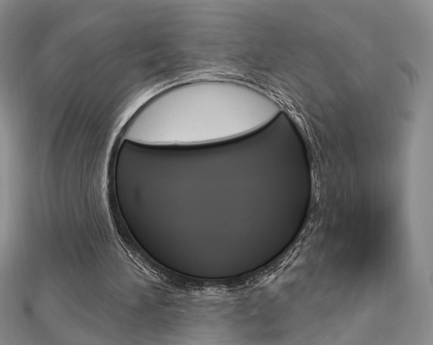 X0000113160196200909041000