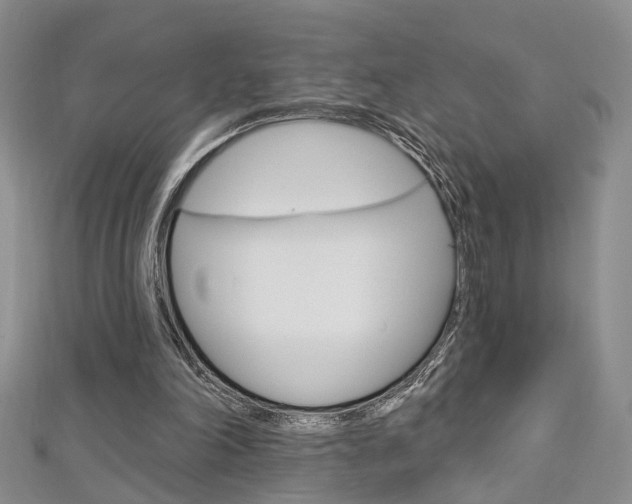 X0000113160198200909041000