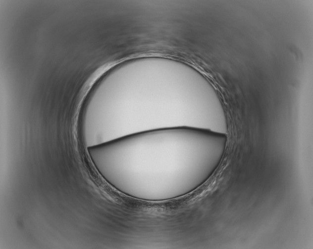 X0000113160200200909041000