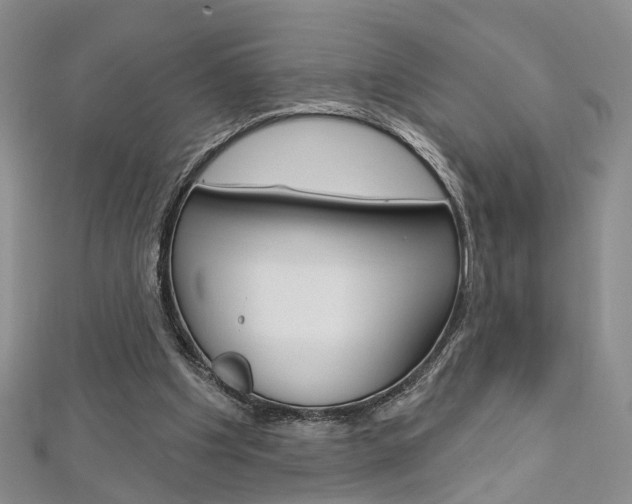 X0000113160201200909041000
