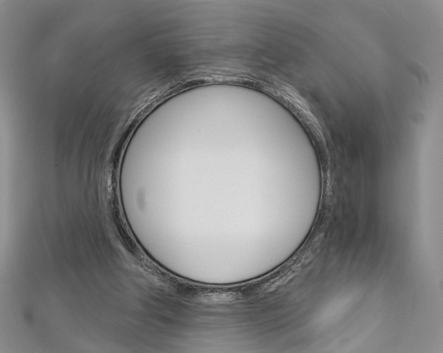 X0000113160202200909041000